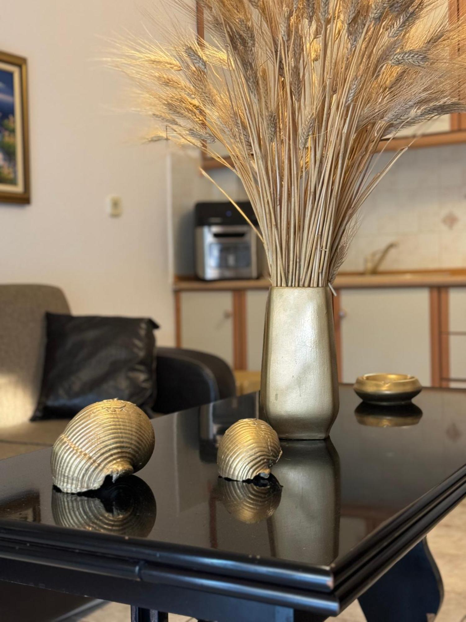 καλλιθέα χαλκιδικής Aparment *